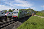 Buntes Trio aus Re 486 508, Re 465 008 und dem LWR-Vectron 193 717 in Dulliken. Dahinter sind noch RABDe 500 037 'Grock' und RABDe 500 043 'Steivan Brunies' unterwegs. Mai 2024.