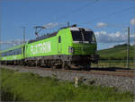 Flixtrain mit 193 431. Schliengen, Juli 2024.