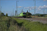 Flixtrain mit 193 431. Schliengen, Juli 2024.