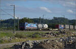 SBB Cargo international 193 531 'Reuss' bei Schliengen.