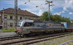 193 107 'Bodensee' von Railpool im SBBCI-Design in Rastatt. Mai 2024.