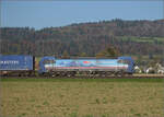 Aargauische Südbahn.

193 521 'Donau' von SBB Cargo international bei Hendschiken. November 2024.