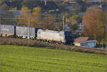 Sonnentag in Frick.

Die durch SBB Cargo international geleaste Loks 193 528 'Mosel' mit einem Containerzug auf dem Weg zum Bözberg. Frick, November 2024.