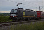 193 662 von Beacon mit einem KLV bei Buggingen.