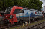 Der SBBCI-Vectron 193 466 'Bellinzona' ist in Singen am Bahnsteig der Randenbahn geparkt.
