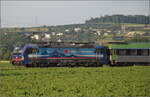 193 533 'Rhone der SBBCI mit Rola bei Henschiken, Juni 2025.