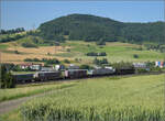 193 719 Beacon und 189 109 Akiem mit Containern bei Frick, Juni 2025.