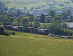 193 474 'Mannheim' SBBCI mit Containern bei Frick, Juni 2025.