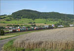 SBBCI-Leasinglok von Beacon Rail 193 665 'Thuner See' mit dem Wetronzug bei Frick.