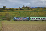193 532 'Rhein der SBBCI bei Buggingen. Oktober 2025.