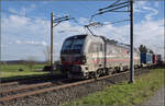 193 547 'Groote Markt' von SBBCI mit einem Containerzug bei Altenburg.