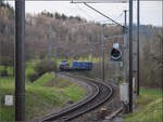 193 456 'Schweizer Bahnhof Basel' von SBBCI bei Lottstetten.