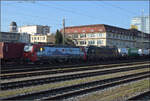 193 478 'Gotthardo' von SBBCI und 193 653 von Beacon in Singen.