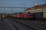 1016 025, 1116 154 beide ÖBB und 193 956 der ELL in Farben der holländischen NS sind in Singen fotogen vor der Maggi geparkt. April 2026.