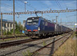 Ein noch nicht individualisierter Vectron 193 492 und 193 483 von GTS ziehen einen GTS-Zug durch Pratteln. August 2026.