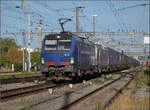 Ein noch nicht individualisierter Vectron 193 492 und 193 483 von GTS ziehen einen GTS-Zug durch Pratteln. August 2026.