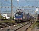 Ein noch nicht individualisierter Vectron 193 492 und 193 483 von GTS ziehen einen GTS-Zug durch Pratteln. August 2026.