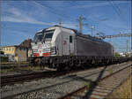 7193 308 'Born to Rail' von TXL in Pratteln.