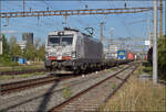 7193 308 'Born to Rail' von TXL in Pratteln. August 2026.