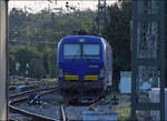 Die blaue 193 853 von Beacon ist auf den Restgleisen des Randenbahnhofs in Singen abgestellt. September 2026.