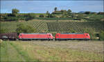 185 118 und 185 129 s�dw�rts mit Stahl. Buggingen, September 2026.