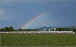 403 061 'Celle' mit Regenbogen bei Buggingen.