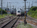 '412 099' ICE 4 Triebzug 9499 auf der Rhein-Neckar-Bahn. Weinheim, Juli 2024.