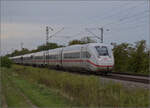  412 051  bei Buggingen.