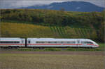 ICE 9280, '412 080' bei Buggingen.