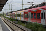 Quietschie mit BW-Design-Fleck. 425 307 in Friedrichshafen, Mai 2025.