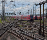 086-5/856998/ankunft-von-446-022-446-030 Ankunft von 446 022, 446 030, sowie 446 038 und 446 032. Frankfurt, Juli 2024.