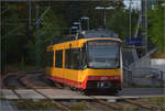 Die Strassenbahn AVG 862 in Germersheim Stadt. September 2026.