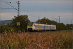   463 082 bei Buggingen.