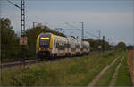 1462 007 bei Buggingen.