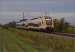 1462 007 bei Buggingen.