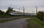 463 024 und 463 014 in Heitersheim.