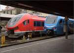 Hailandzack, am Bodensee wurden die Karpfen gefressen... 

633 045 nebst 1428 044 alias GABY ET 4.40 in Lindau als Beifang. Februar 2023.