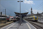 1462 003 muss einen havarierten Schwarzwaldbahnzug aushelfen. Im Bahnhof Konstanz trifft der Desiro auf den ehemaligen RM-GTW RABe 526 282, den Seehas RABe 521 207 und als weiterer berraschungsgast den Flirt evo RABe 531 002. Eine echte Fahrzeugparade. Juli 2025.