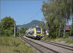 1462 015 als nobler Ritter bei der Schwarzwaldbahn im Einsatz.