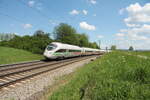 411 066  Bingen am Rhein  als ICE 28 Wien - Koblenz bei Pölling. 14.05.24