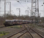 248 037 von Captrain bringt einige Blechrollen auf Sahmms-Wagen nordw�rts.