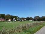 (254'650) - Huser und Schafe am 2.
