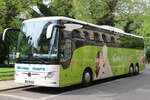 Herzum Tour's, Korbussen - GRZ-GH 103 - Mercedes Benz Tourismo am 21.