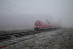 445 065 zieht als RE55 4605 Frankfurt/Main - Bamberg kurz Retzbach-Zellingen. 28.12.24