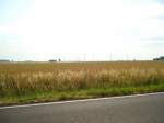 (127'917) - Wiese in der Nhe von Wolfsburg; im Hintergrund sind Windmhlen zu erkennen - am 10. Juli 2010