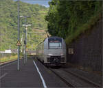 460 011 in St. Goar. Juli 2024.