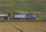 SBB Cargo Re 482 030 bei Scherzingen.