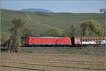 DB Cargo 185 106 und kalt 185 111 bei Scherzingen.