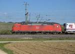 DB Cargo 185 145 bei Schliengen.