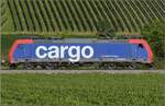 Ein Traxx AC2 ist zurück bei SBB Cargo. Nicht nur die DB hat erhöhten Traktionsbedarf. Re 482 037 bei Hügelheim. Juni 2022.